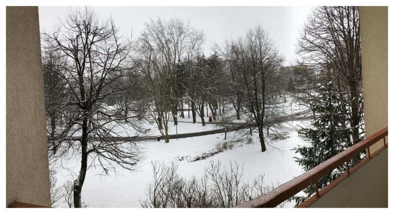 Kwadrat B&B Jalowego Rzeszów Exteriér fotografie